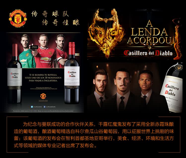 紅魔鬼葡萄酒批發全解析 智利紅酒經銷價格參考與市場趨勢